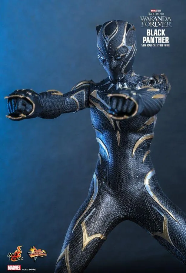 Black Panther 2: Wakanda Forever - Black Panther 1:6 Scale Figure - Image 11