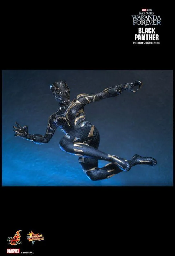 Black Panther 2: Wakanda Forever - Black Panther 1:6 Scale Figure - Image 15