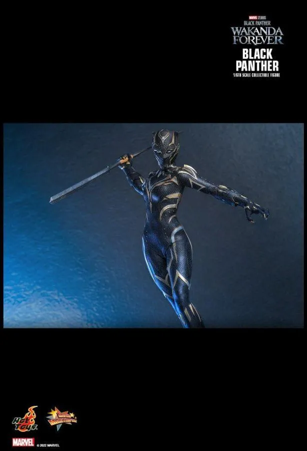 Black Panther 2: Wakanda Forever - Black Panther 1:6 Scale Figure - Image 16