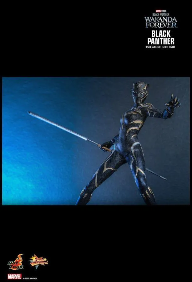Black Panther 2: Wakanda Forever - Black Panther 1:6 Scale Figure - Image 17