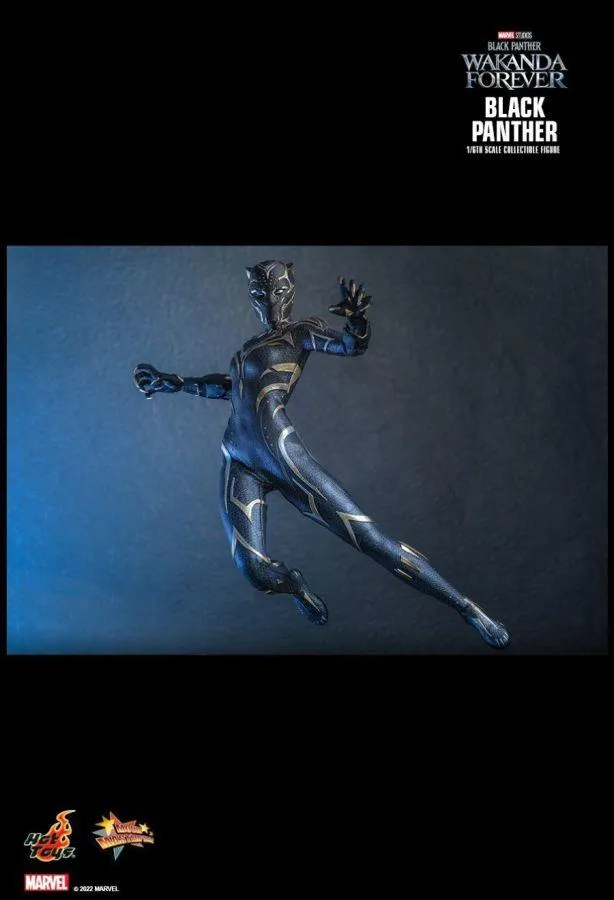 Black Panther 2: Wakanda Forever - Black Panther 1:6 Scale Figure - Image 18