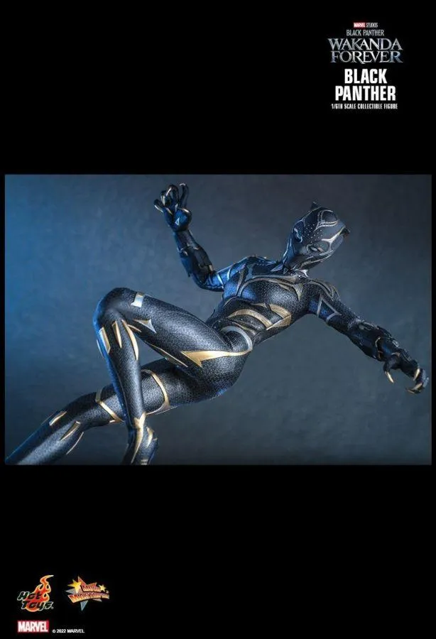 Black Panther 2: Wakanda Forever - Black Panther 1:6 Scale Figure - Image 20