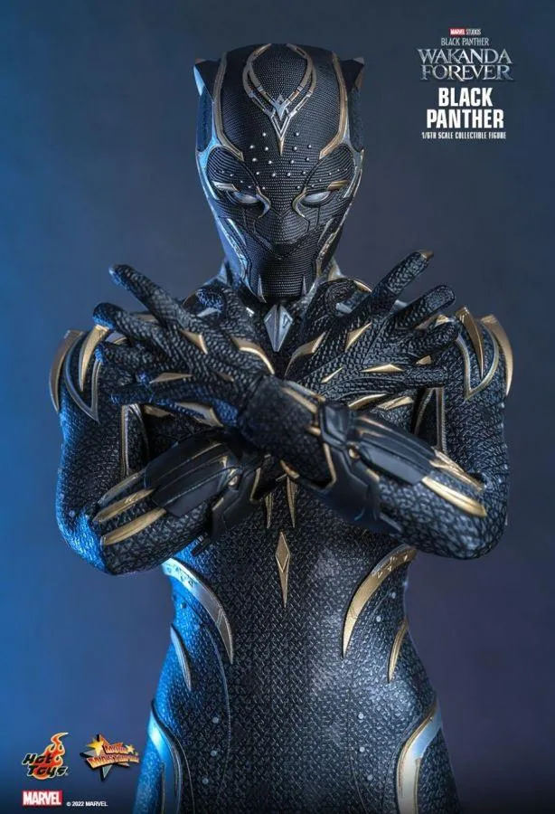 Black Panther 2: Wakanda Forever - Black Panther 1:6 Scale Figure - Image 6