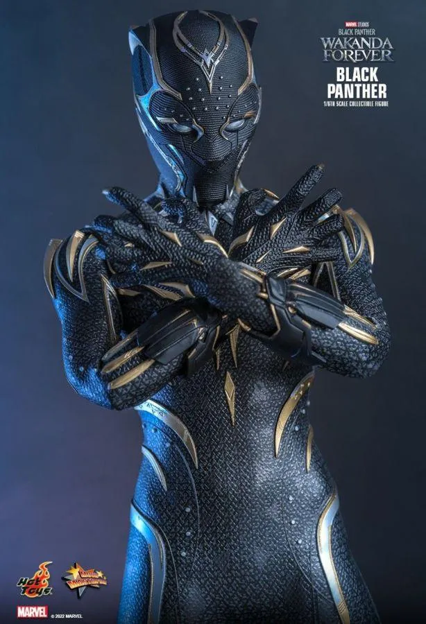 Black Panther 2: Wakanda Forever - Black Panther 1:6 Scale Figure - Image 7