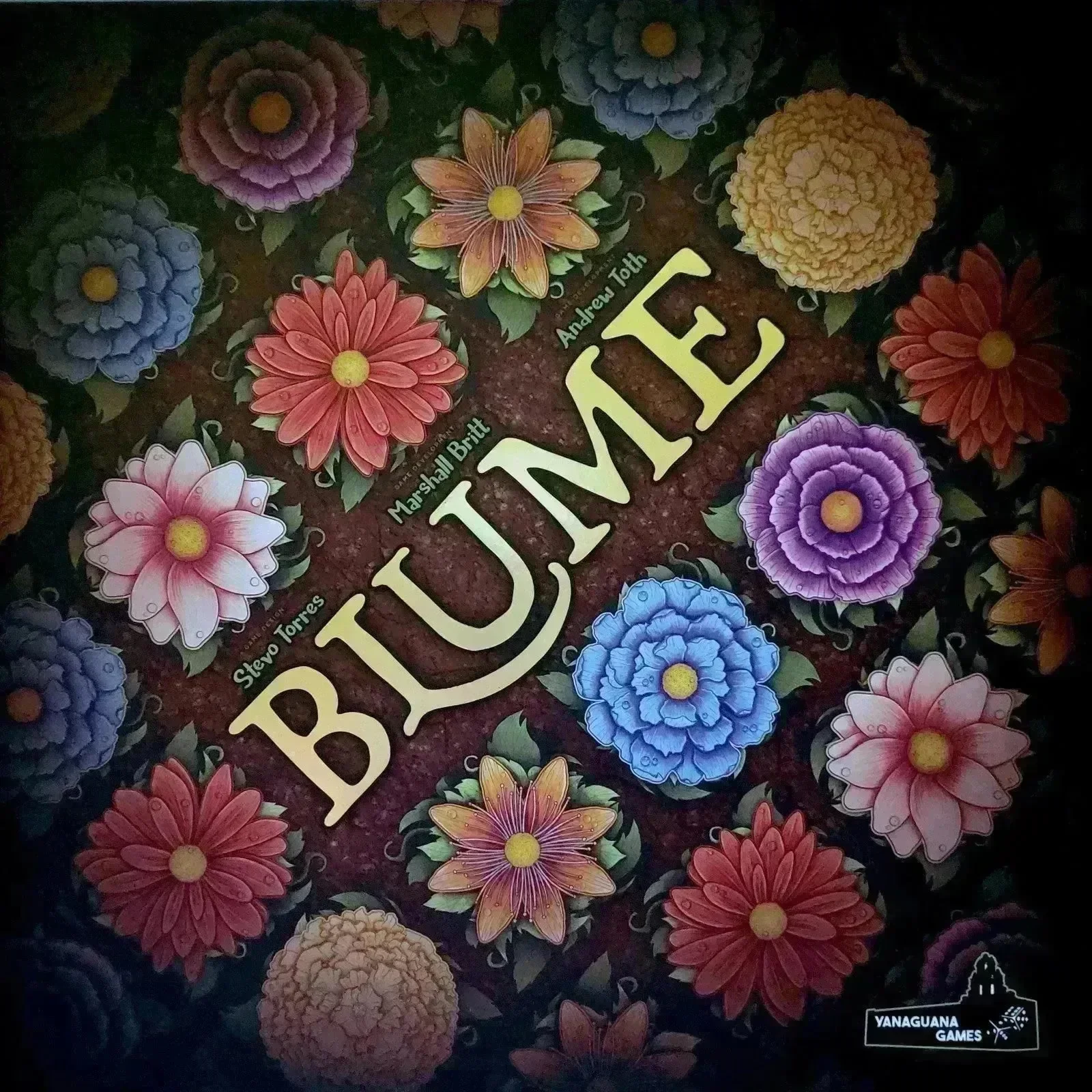 Blume