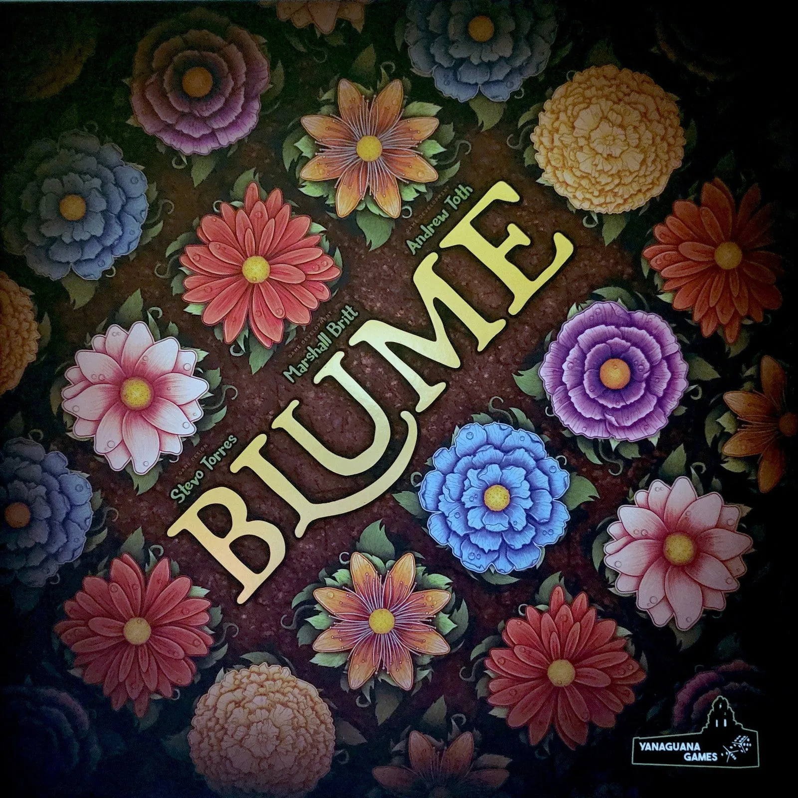 Blume - Image 2