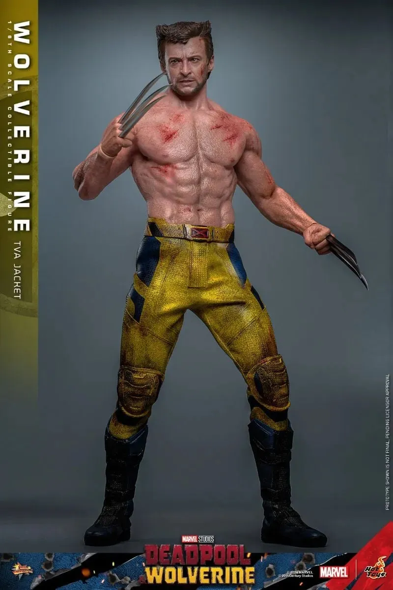 Deadpool & Wolverine - Wolverine (TVA Jacket) 1:6 Scale Collectable Action Figure - Image 12
