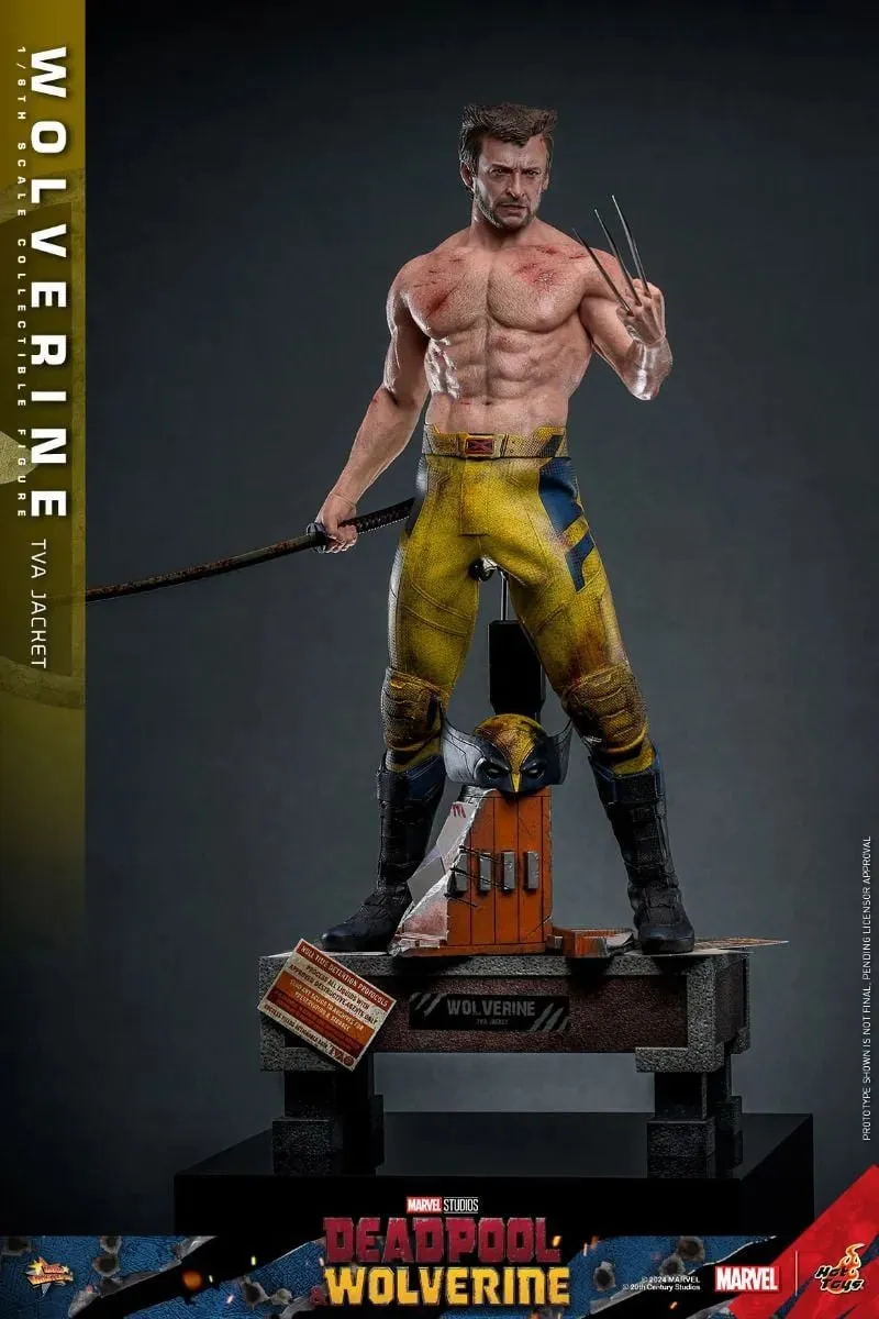 Deadpool & Wolverine - Wolverine (TVA Jacket) 1:6 Scale Collectable Action Figure - Image 7