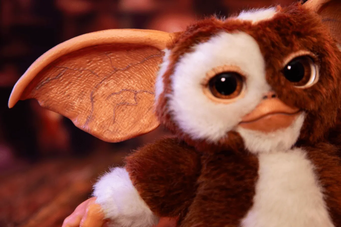 Gremlins - Replica Mogwai box and Gizmo plush - Image 7