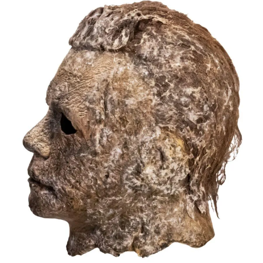 Halloween Ends - Michael Myers Mask Prop Replica - Image 4