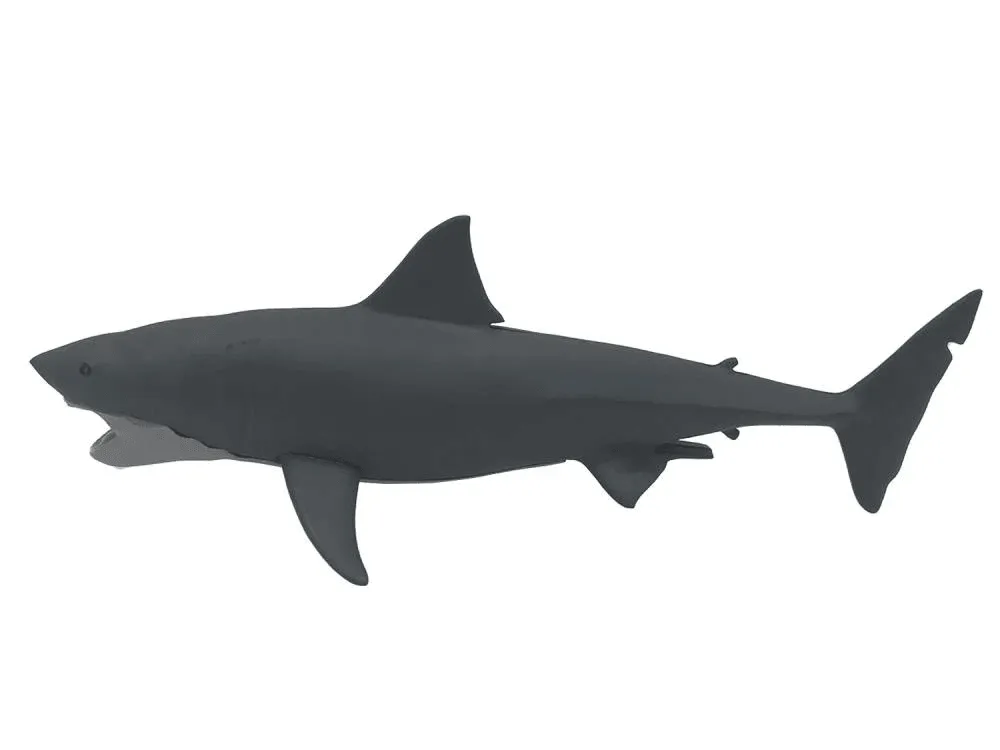 Jaws - Mechanical Bruce Shark Scaled Replica - Image 4