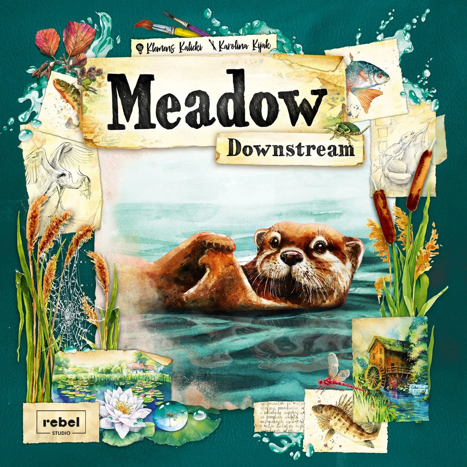 Meadow Downstream Expansion - Image 2