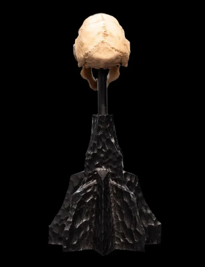 The Lord of the Rings - Skull of a Moria Orc Miniature Skull - Image 3
