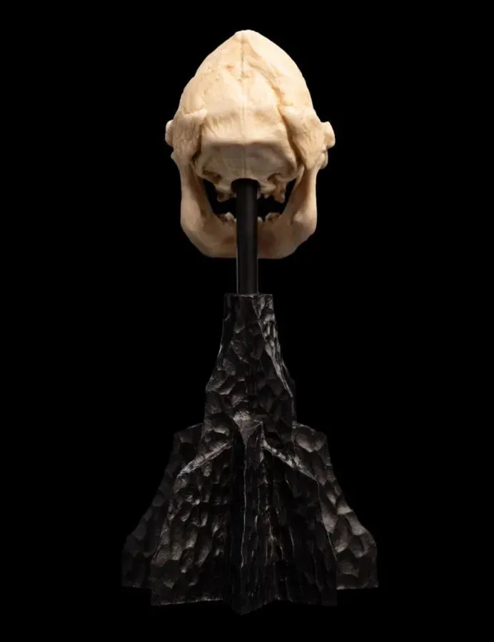 The Lord of the Rings - Skull of Lurtz Miniature Skull - Image 3